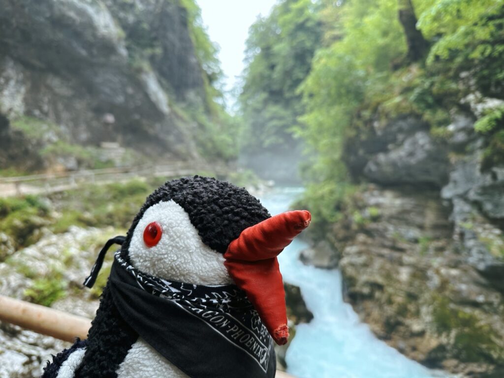 Vingtgar Gorge slovenia