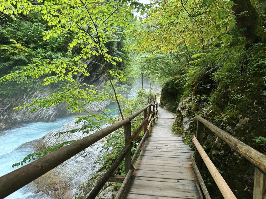 Vingtgar Gorge slovenia