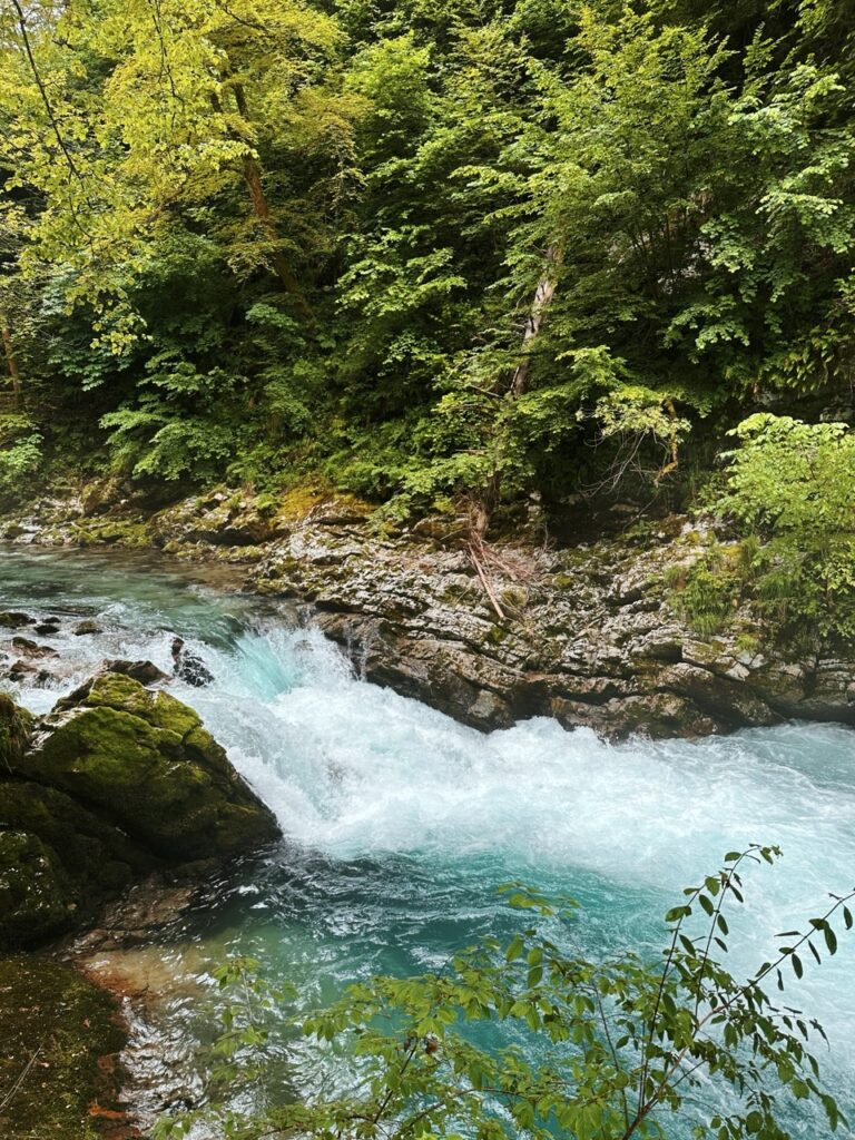 Vingtgar Gorge slovenia
