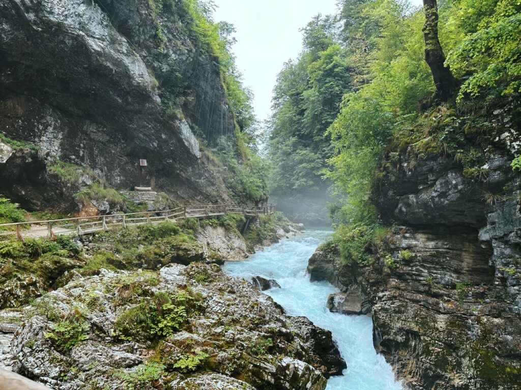 Vingtgar Gorge slovenia