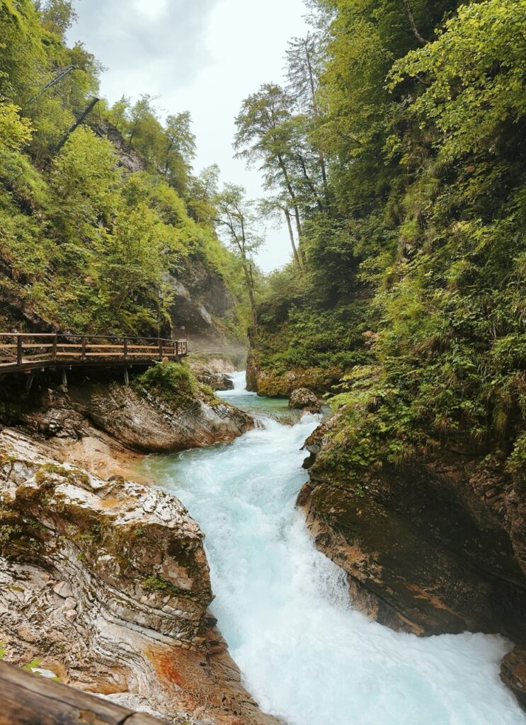 Vingtgar Gorge slovenia