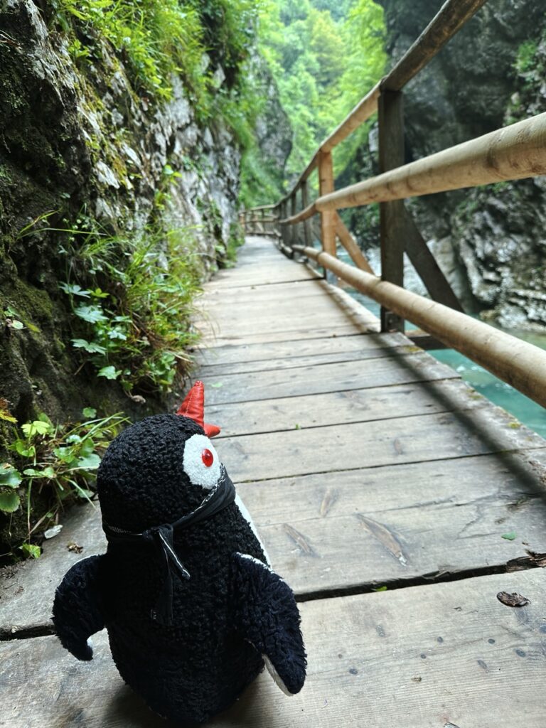Vingtgar Gorge slovenia