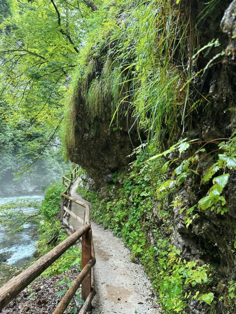 Vingtgar Gorge slovenia