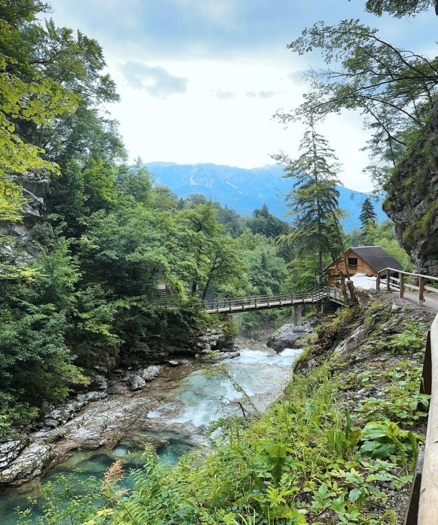 Vingtgar Gorge slovenia