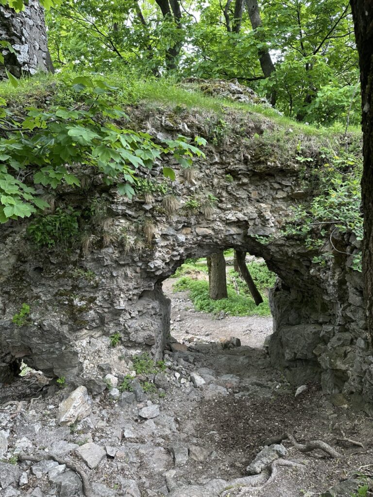 Zaruby hike