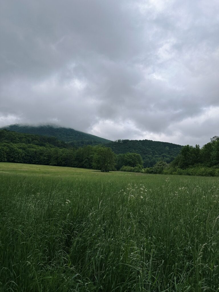 Zaruby hike slovakia