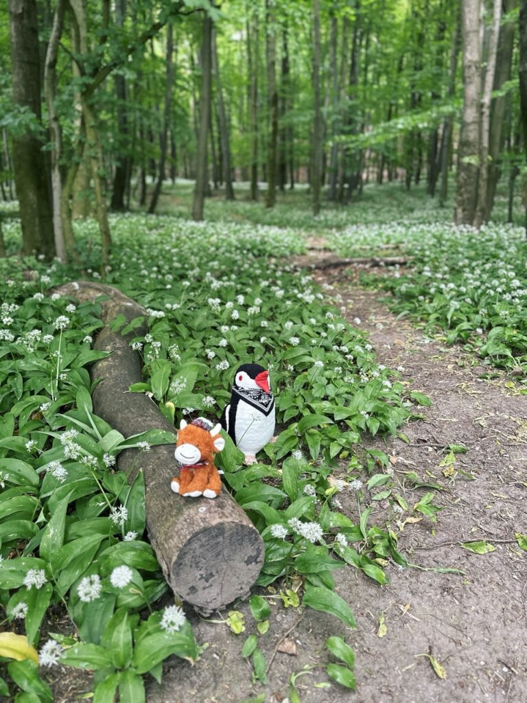 Zaruby hike slovakia