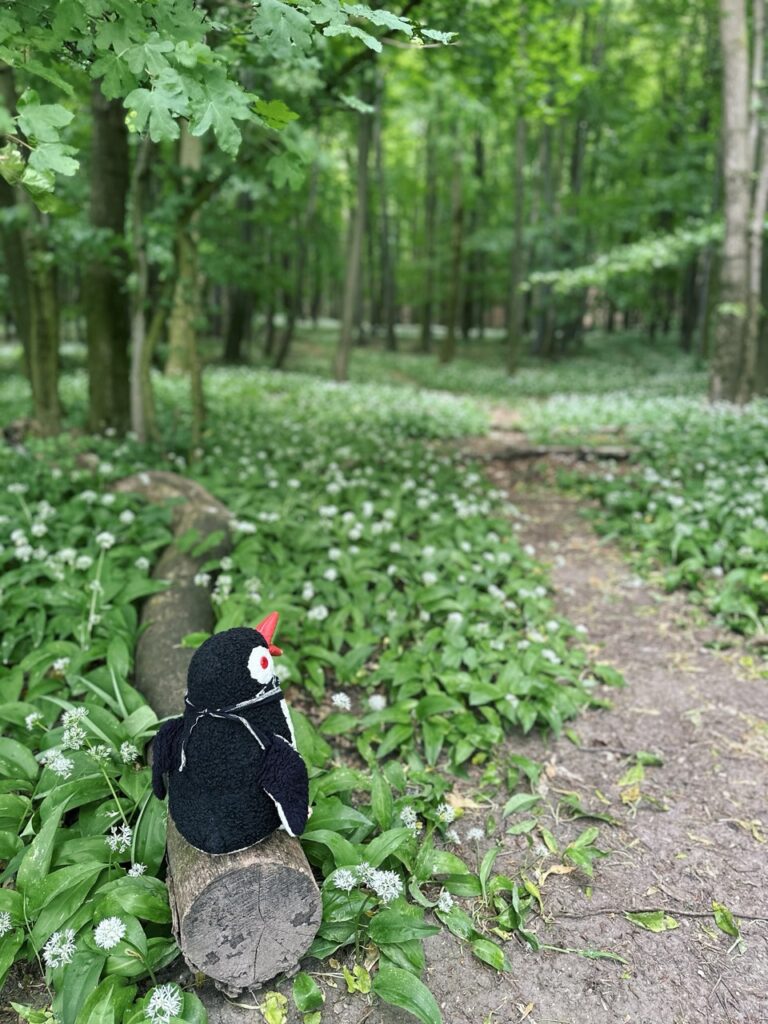 Zaruby hike slovakia