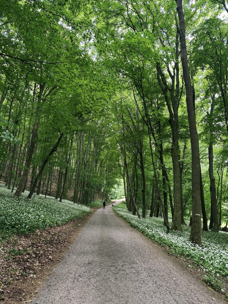 Zaruby hike slovakia