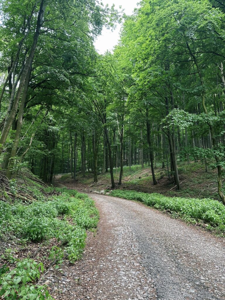 Zaruby hike slovakia