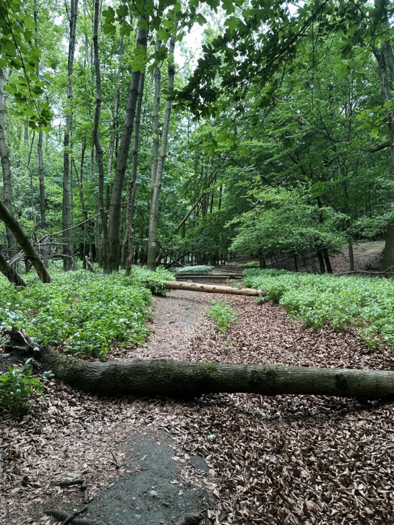 Zaruby hike slovakia