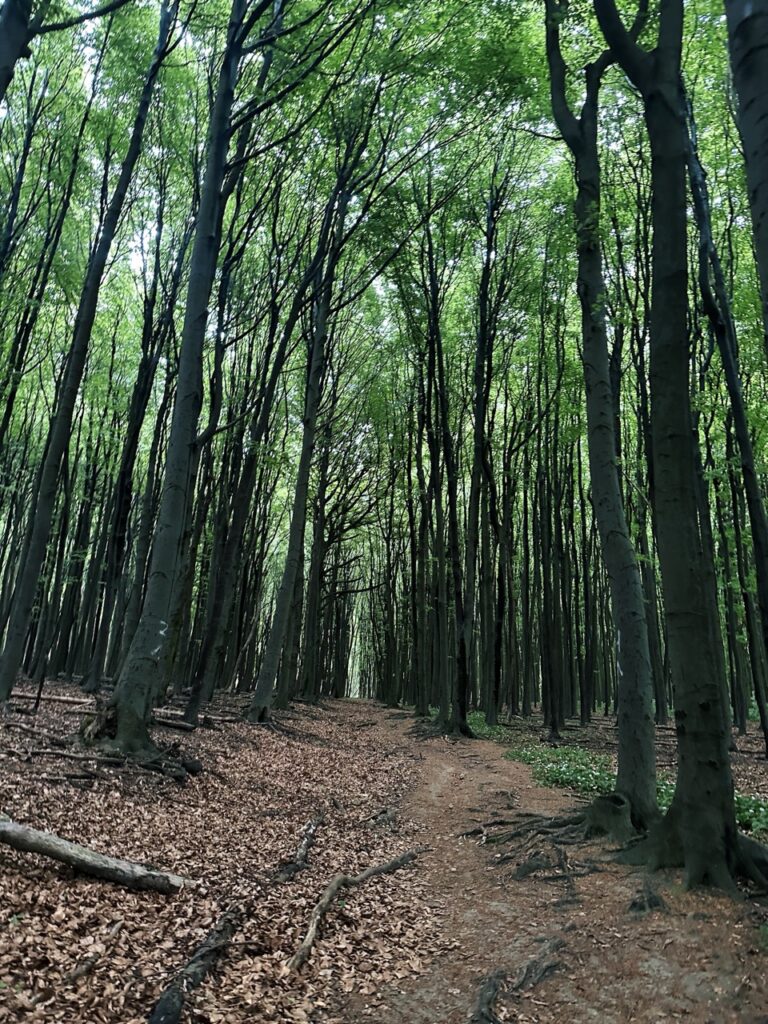 Zaruby hike slovakia