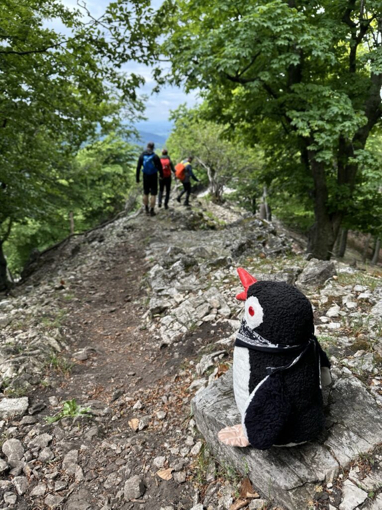 Zaruby hike slovakia