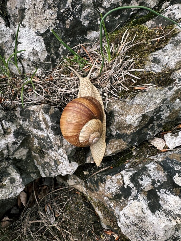 Zaruby hike slovakia