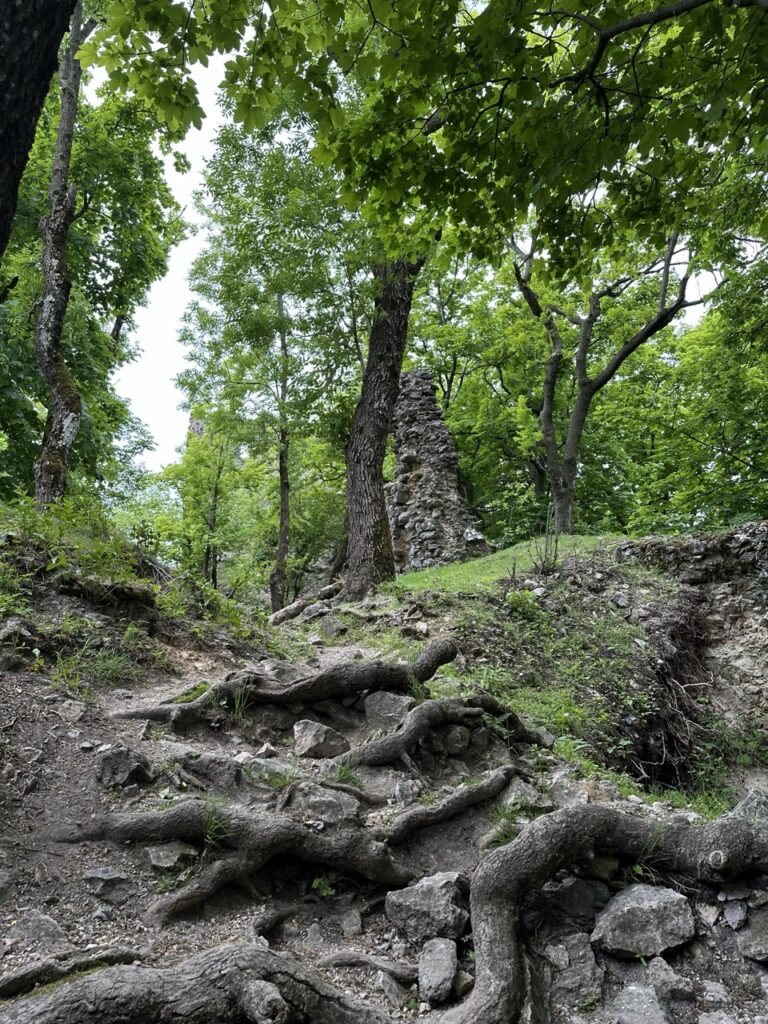 Zaruby hike slovakia