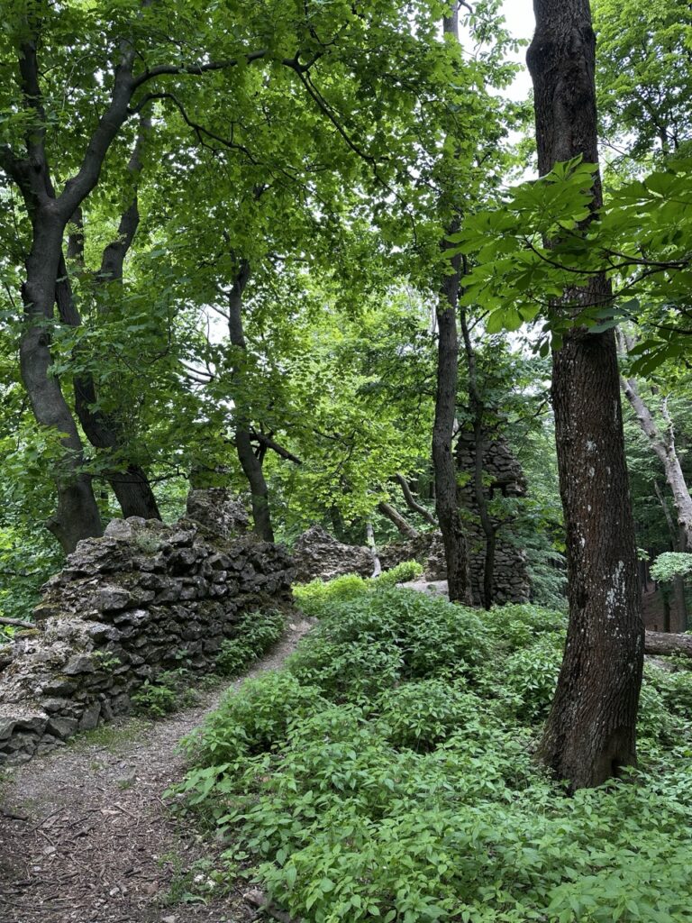 Zaruby hike slovakia