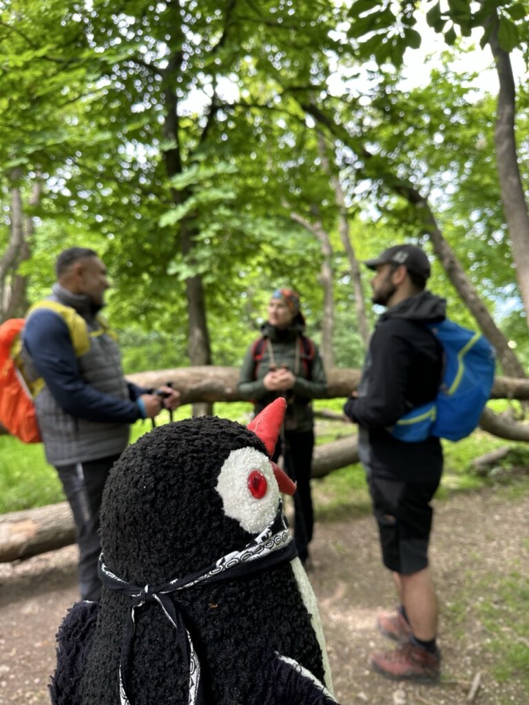 Zaruby hike slovakia