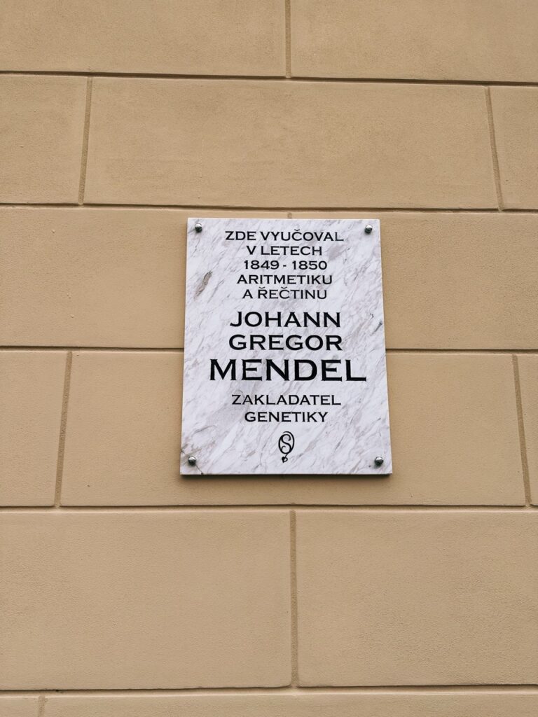 Znojmo Things to do