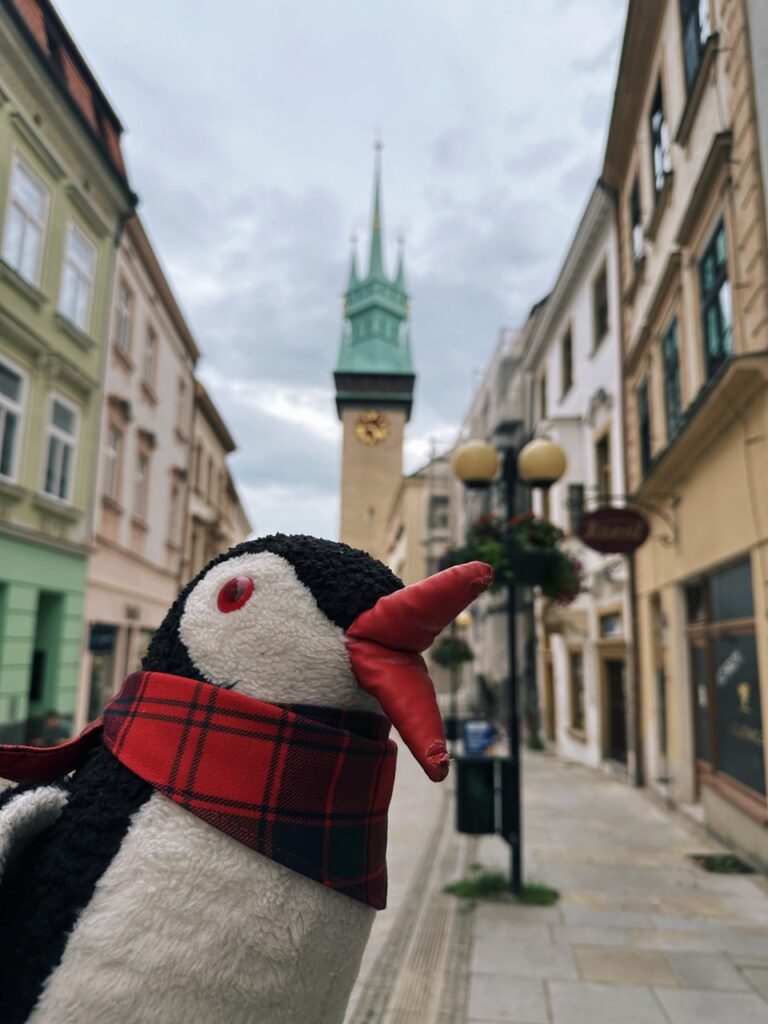 Znojmo Things to do