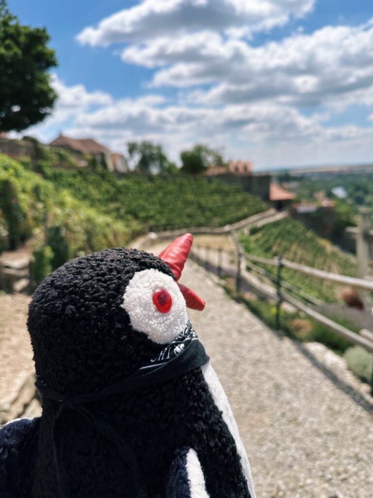 Znojmo Things to do