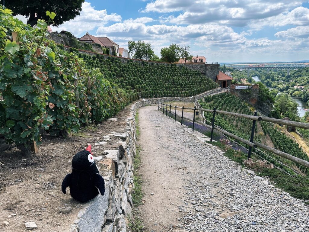 Znojmo Things to do