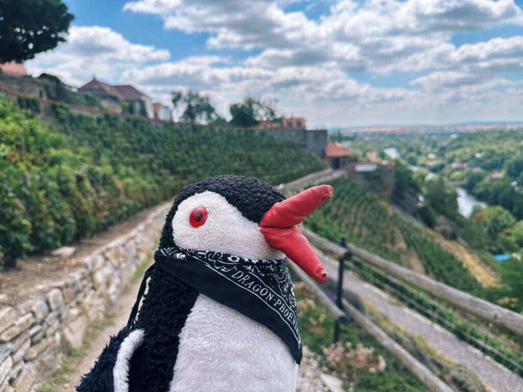 Znojmo Things to do