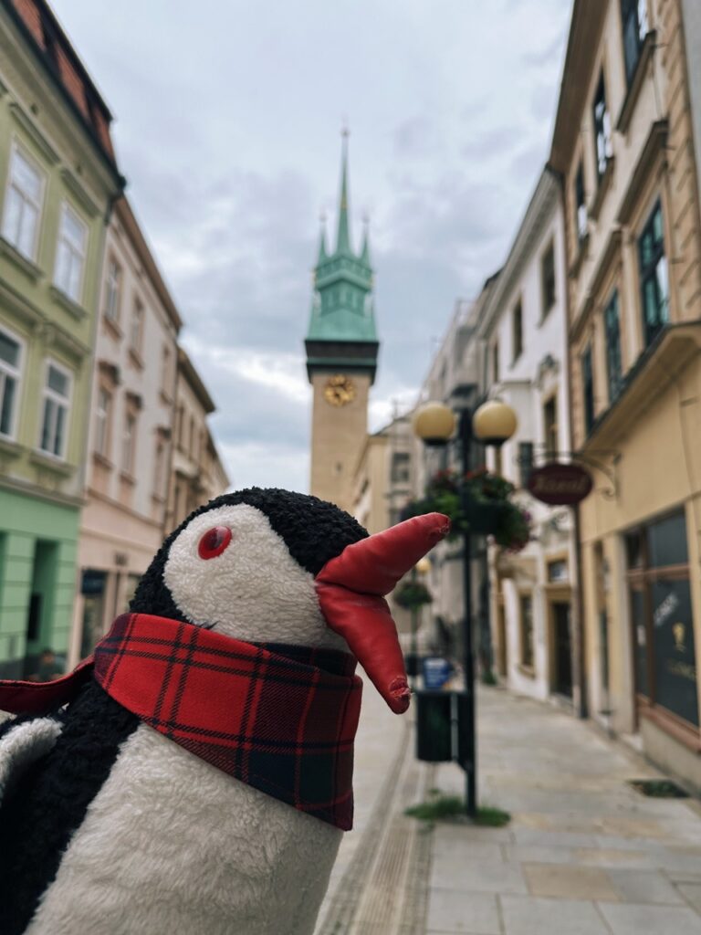Znojmo things to Know