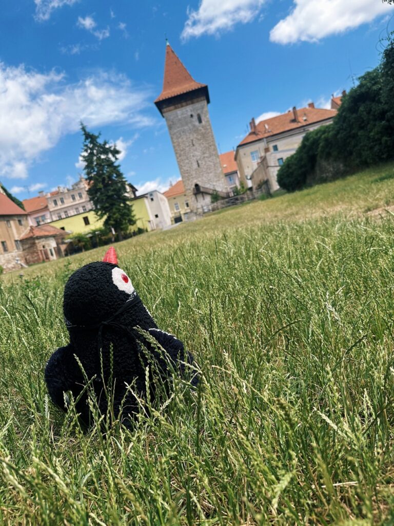 Znojmo Tower
