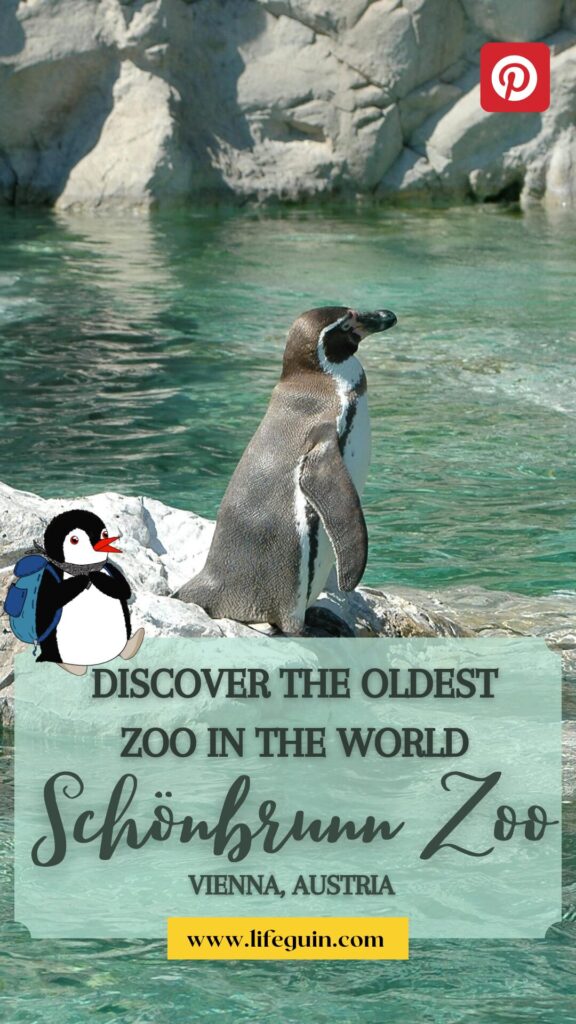 A penguin at Schönbrunn Zoo with text promoting a visit to the world's oldest zoo